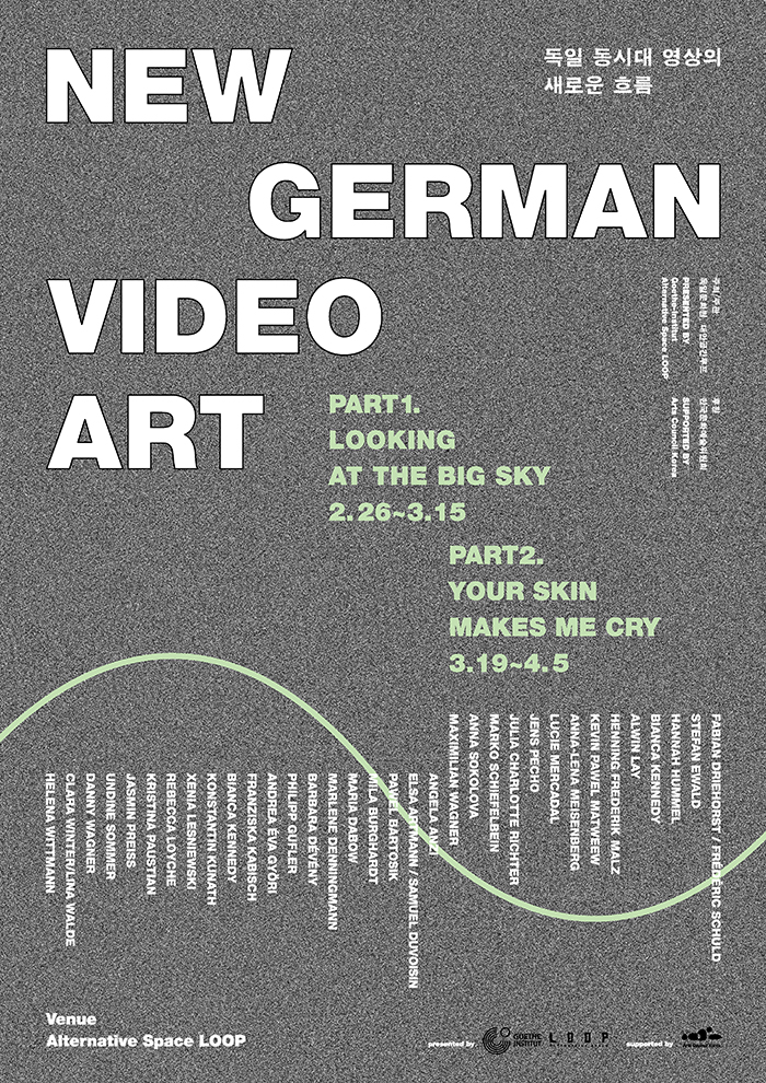 New German Video Art