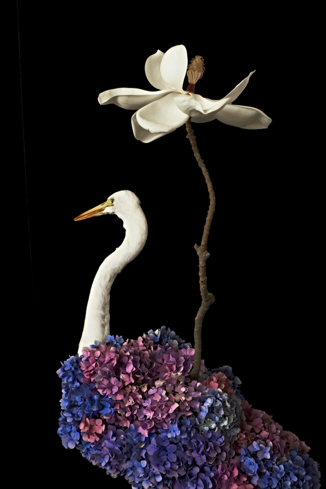 Atsunobu Katagiri Solo Exhibition: Sacrifice in FUKUSHIMA, The Ikebana of Regeneration, Offered to the Future