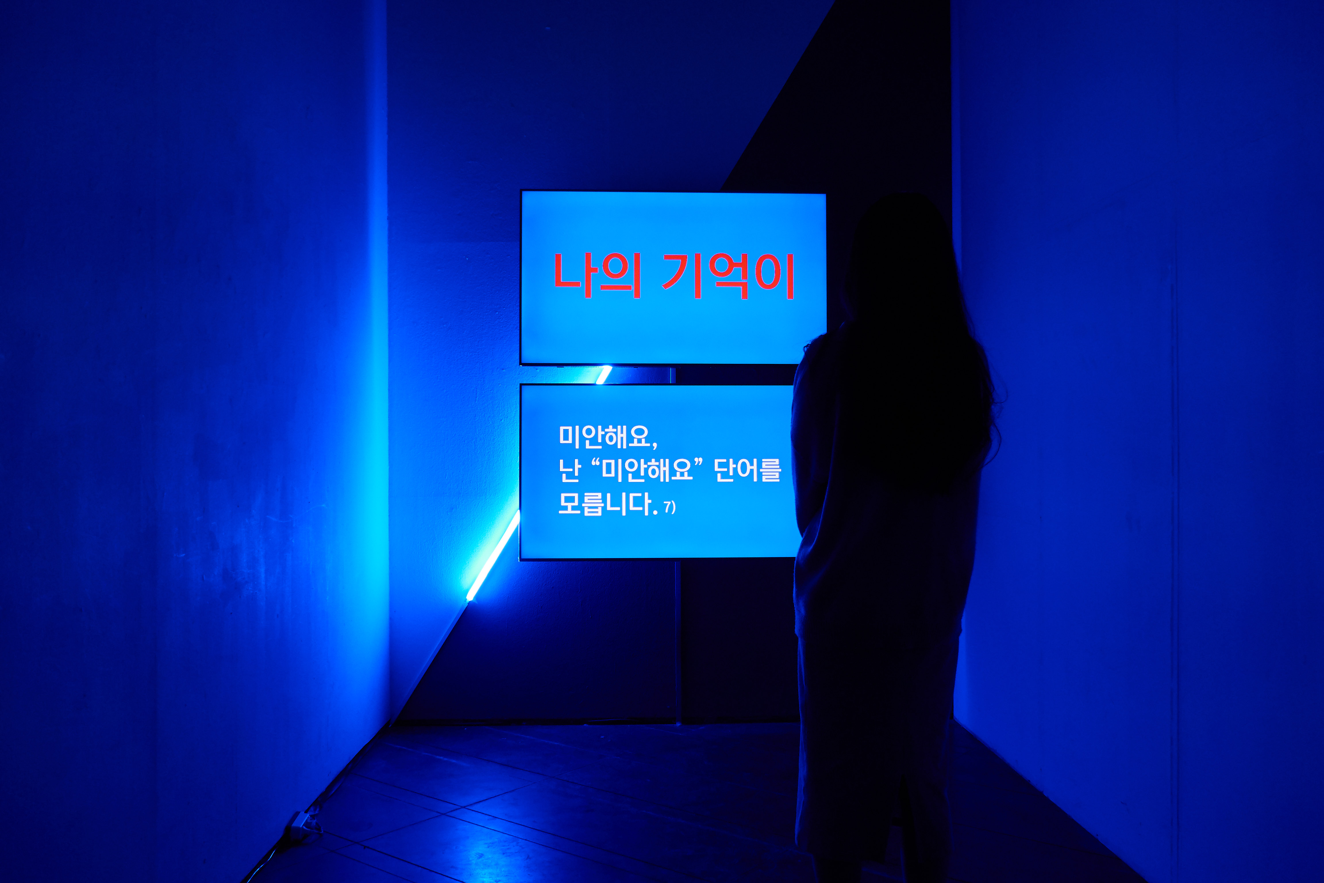 Bokyung Jun Solo Exhibition: Confirm Humanity