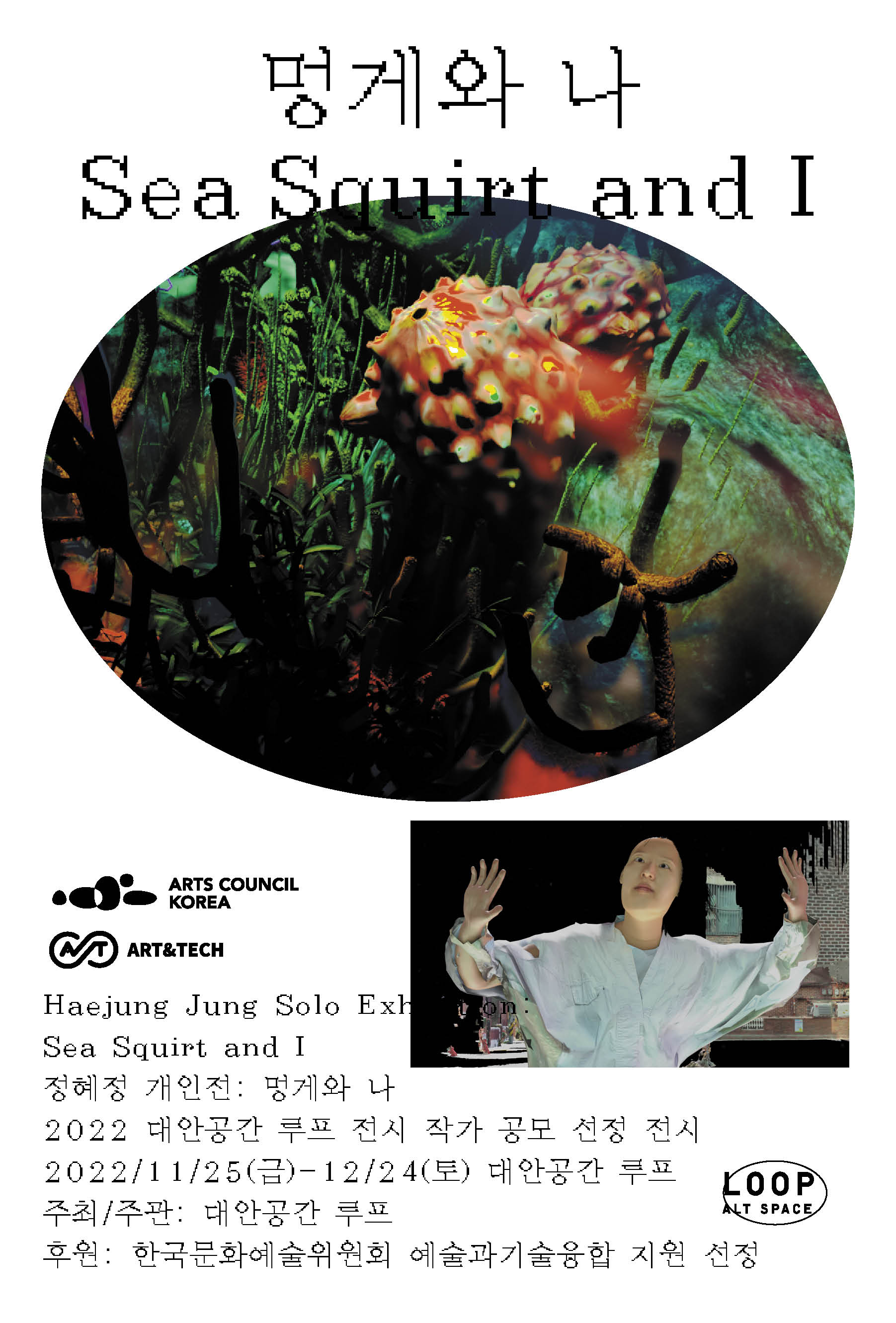 Haejung Jung Solo Exhibition: Sea Squirt and I