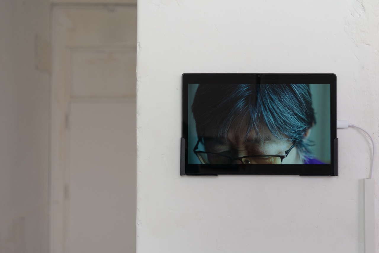 Vivi Zhu Solo Exhibition:  (Un)Trustworthy Hearts